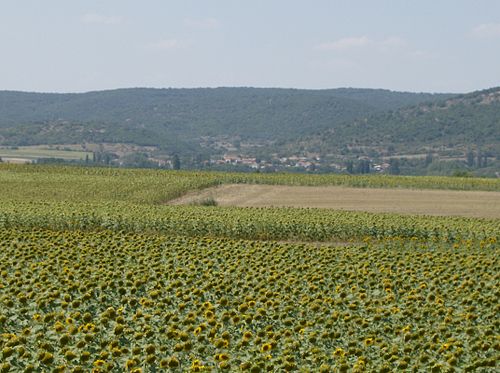 Milia, Evros